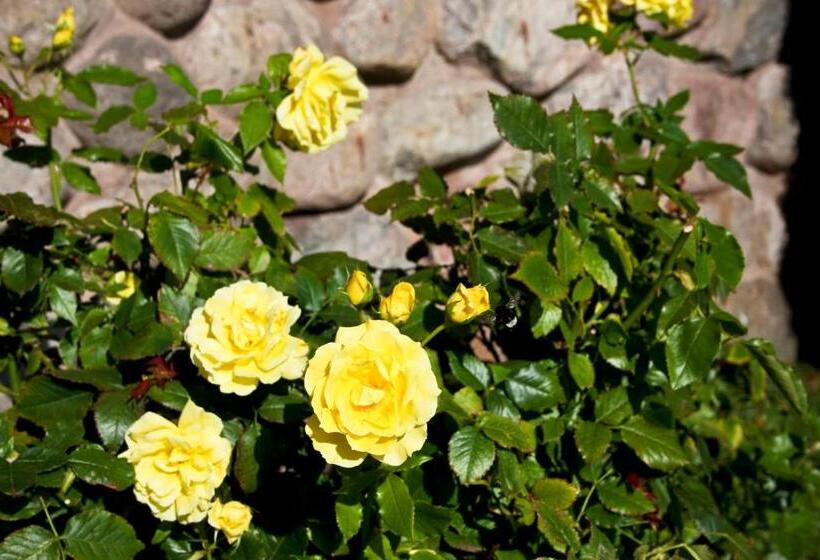 פנסיון L Laurentius