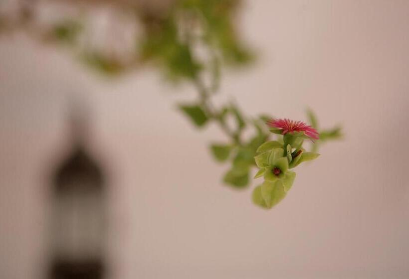 پانسیون La Colombe Blanche