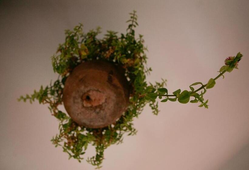 پانسیون La Colombe Blanche