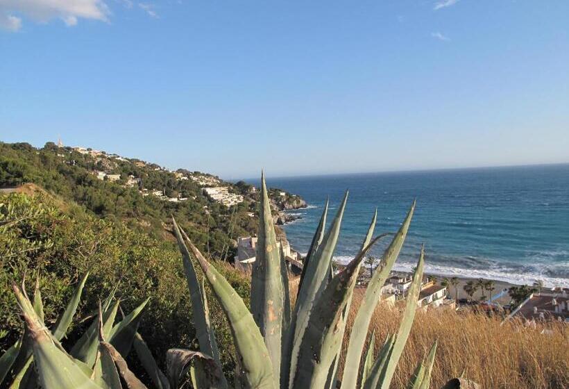 Pensión La Herradura