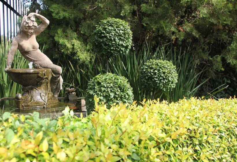 פנסיון Lamor Guest House