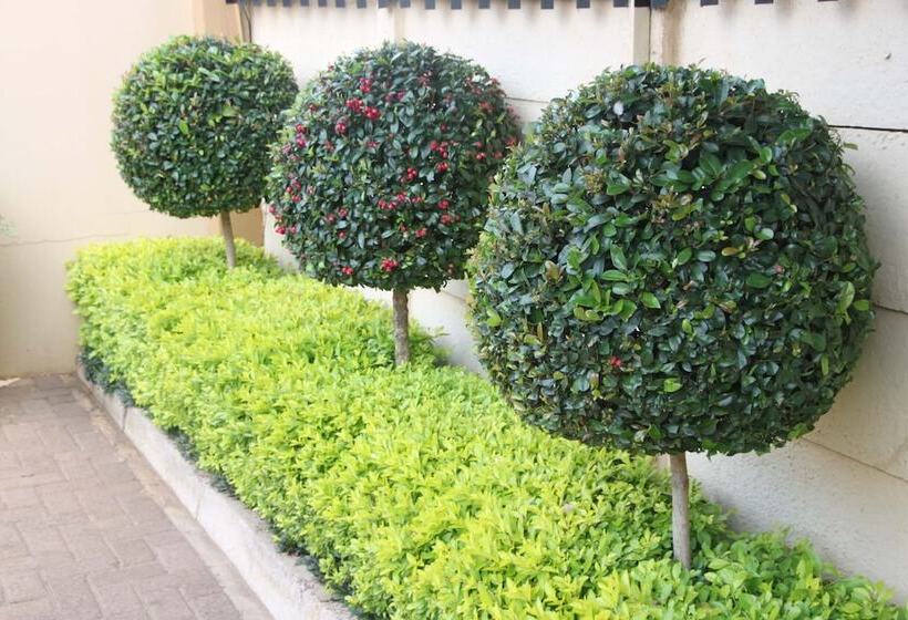 פנסיון Lamor Guest House