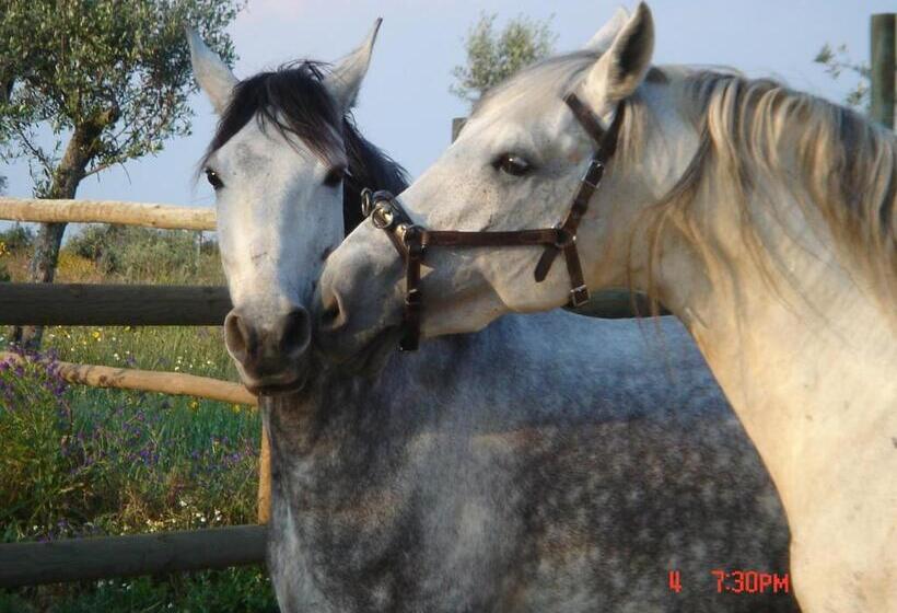 بنسيون Monte Da Coelha Al