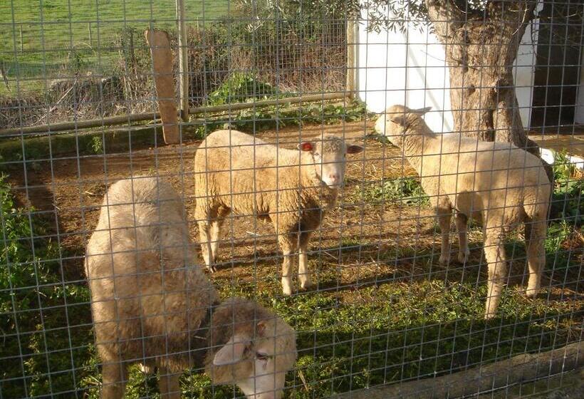 بنسيون Monte Da Coelha Al