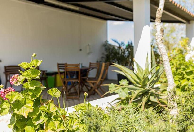 Пансион Monte Da Morena Agro Turismo