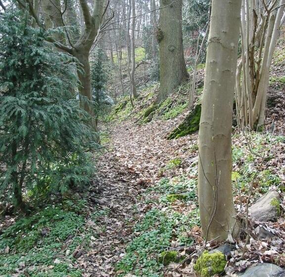 ペンション New Castle