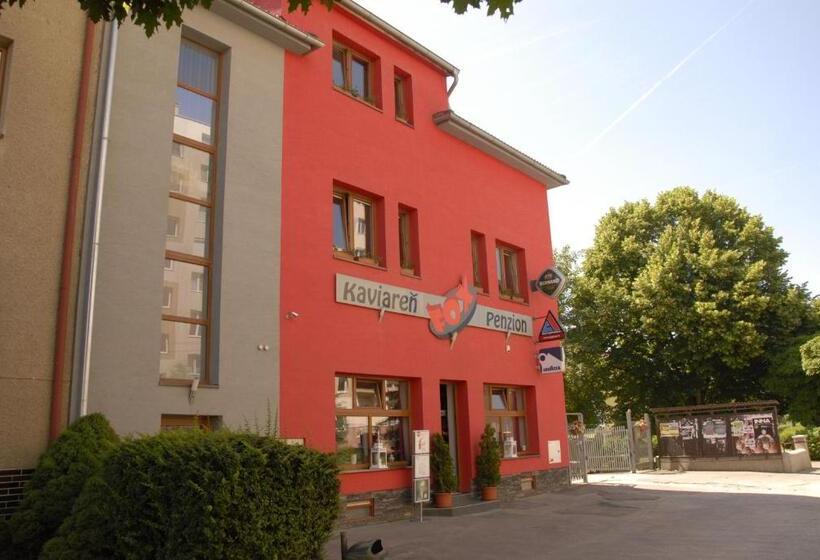 بنسيون Penzión Fox