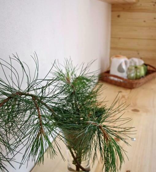 膳宿费 Penzion Limba