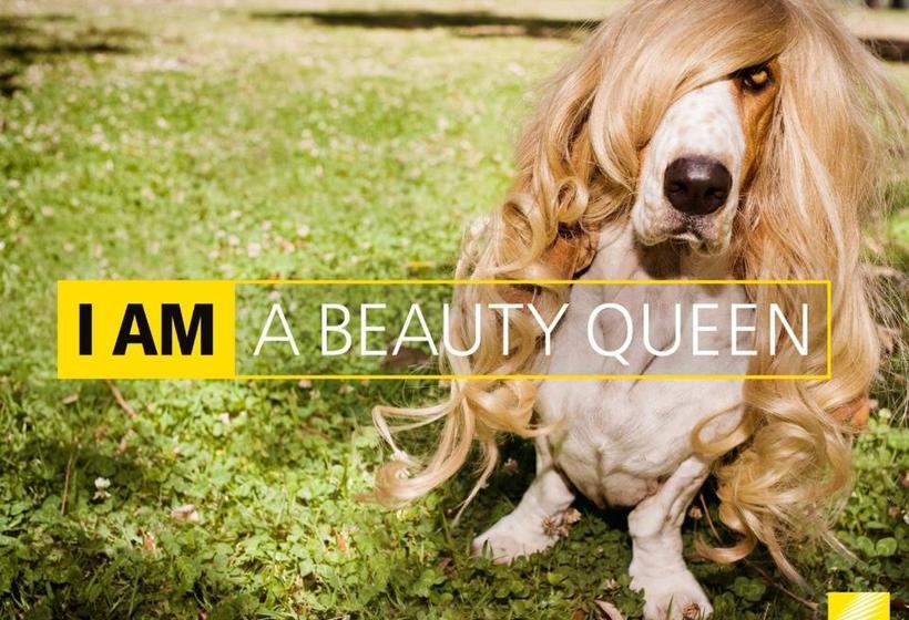 펜션 Plumbago Guest House