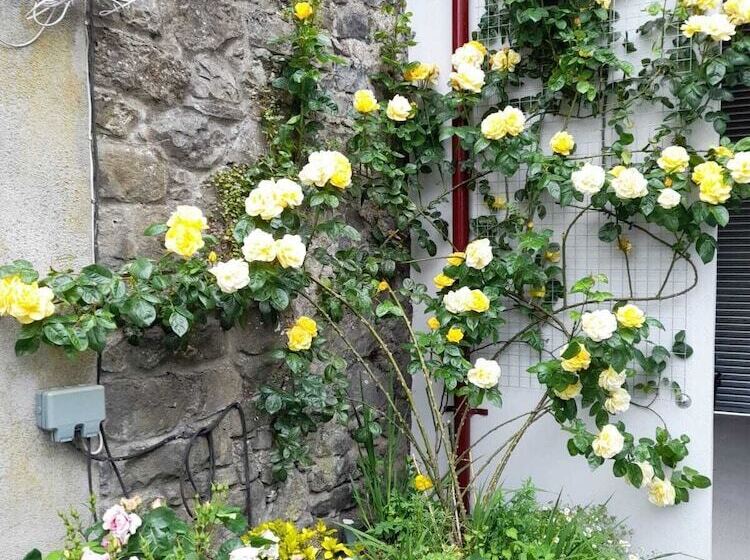 ペンション Red Setter Town House B&b