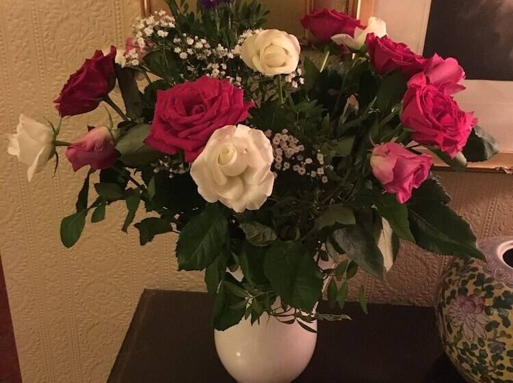 ペンション Red Setter Town House B&b