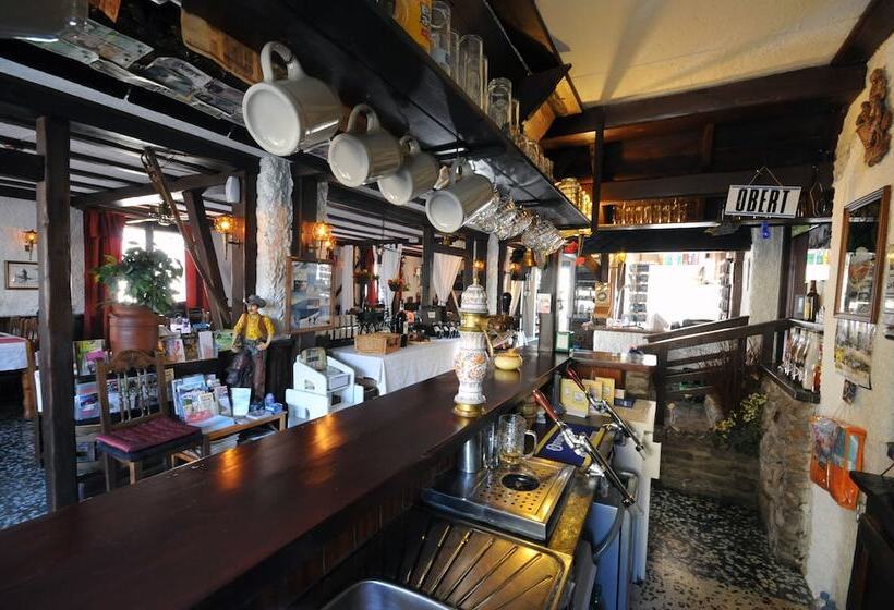 Pensionat Residencia Aldosa