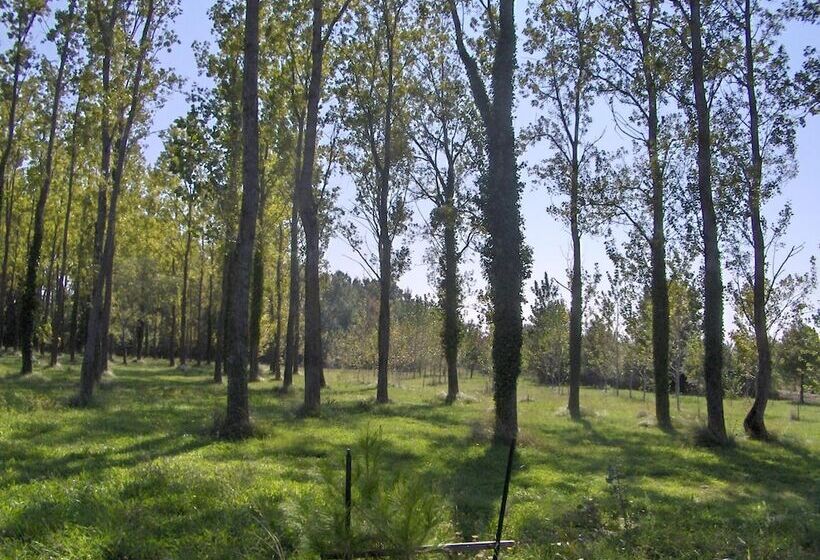 ペンション Résidence Les Peupliers