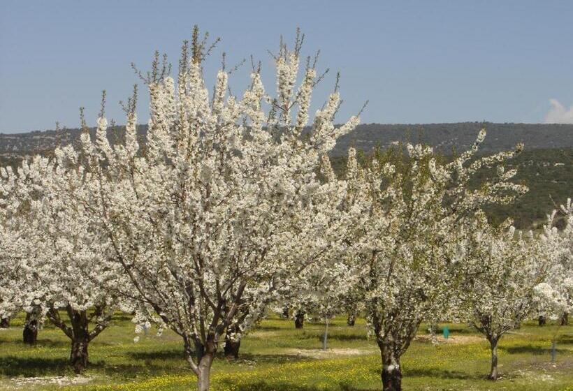 ペンション Résidence Les Peupliers