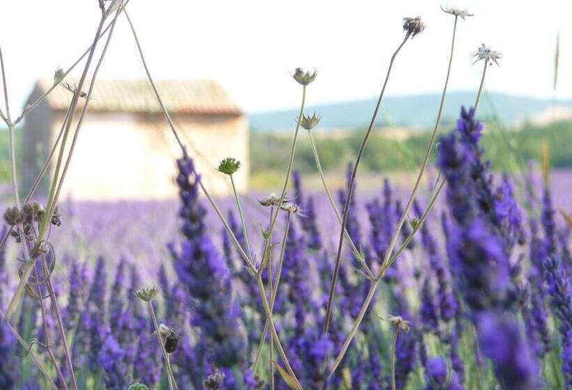 ペンション Résidence Les Peupliers