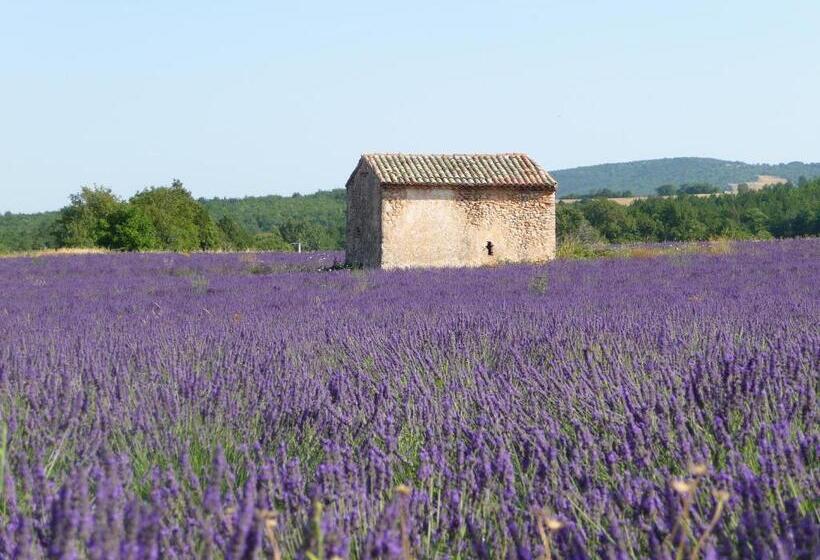 ペンション Résidence Les Peupliers