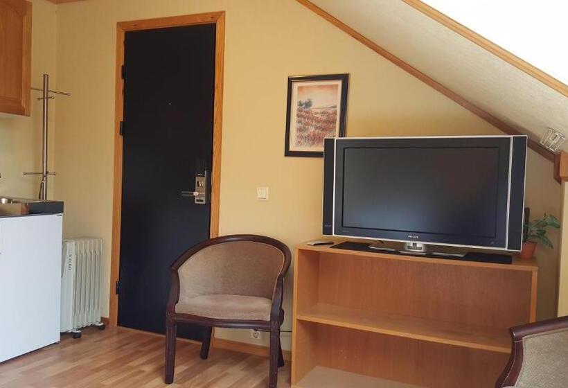 ペンション Skeisvang Gjestgiveri