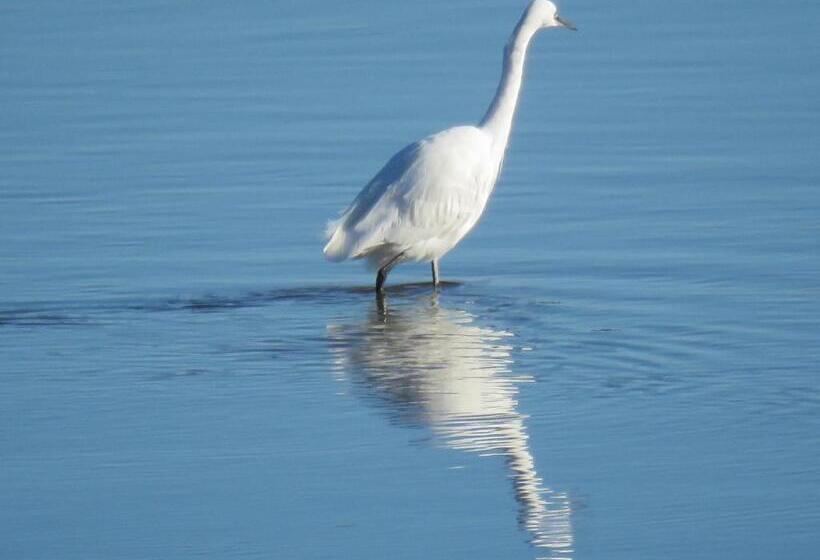 펜션 The Bay Horse Hotel And Restaurant