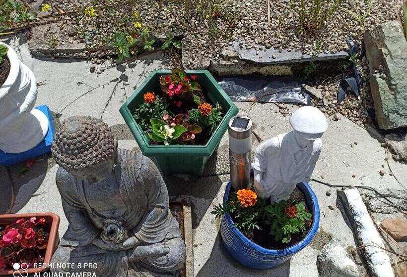 פנסיון The Ferry Boat