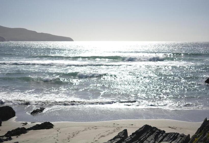 פנסיון The Ferry Boat