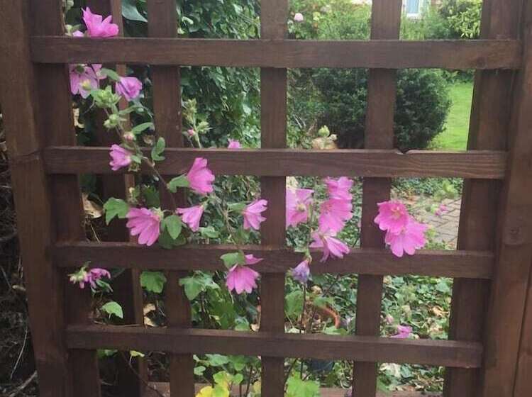 Пансион The Old Coach House