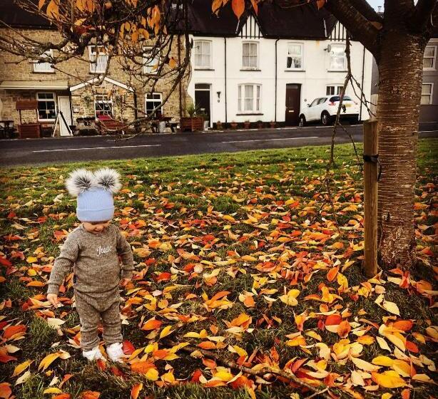 פנסיון The White Hart Inn