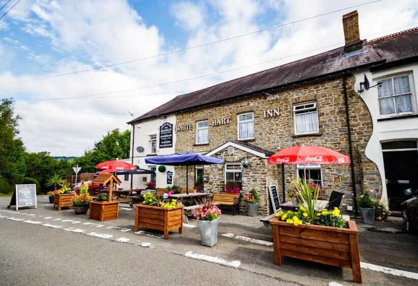 פנסיון The White Hart Inn