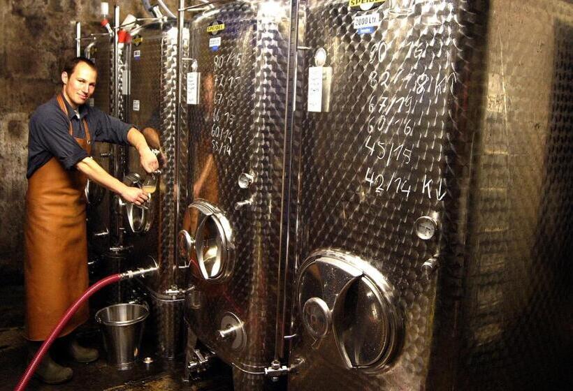 膳宿费 Weingut Clemens