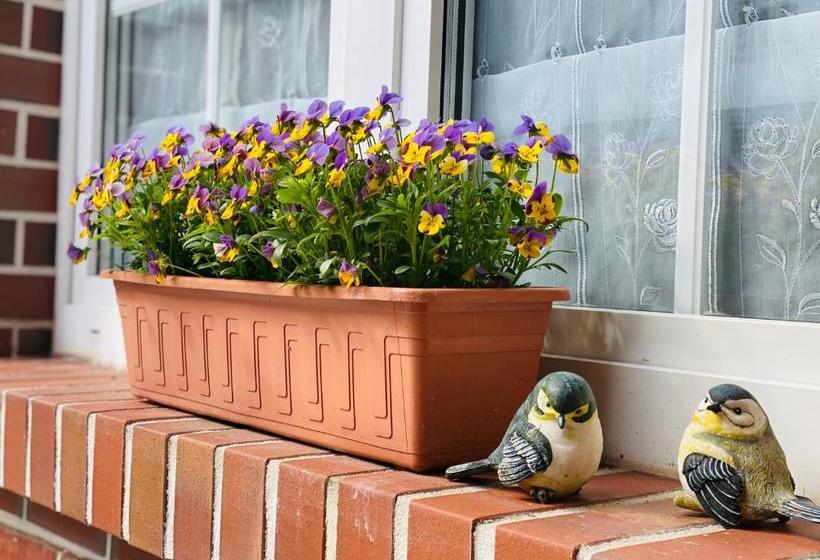 Pension Zum Blümchen