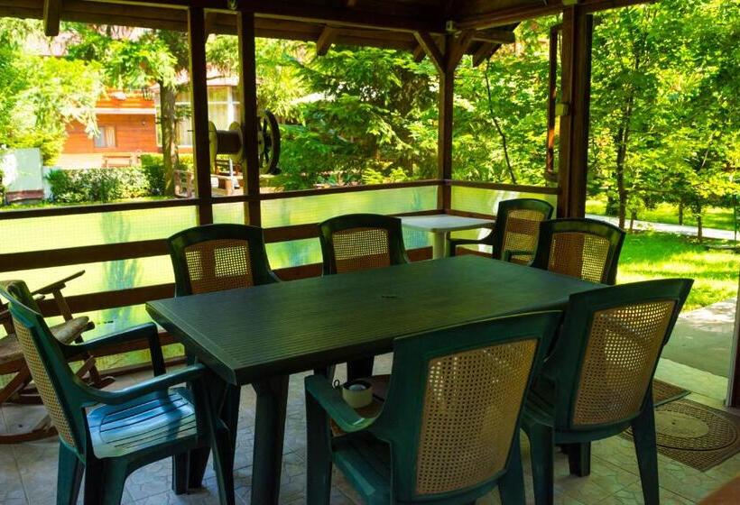 Pensiunea Casa Verde Bucuresti