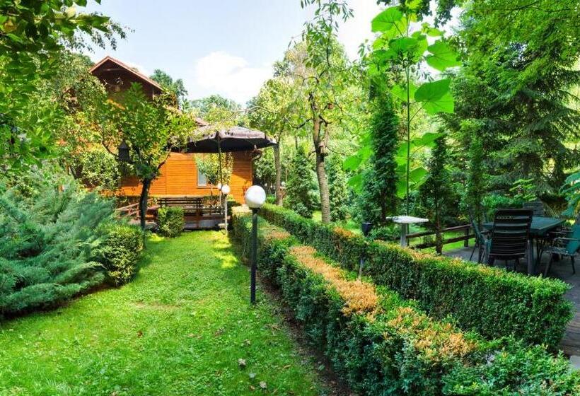 Pensiunea Casa Verde Bucuresti