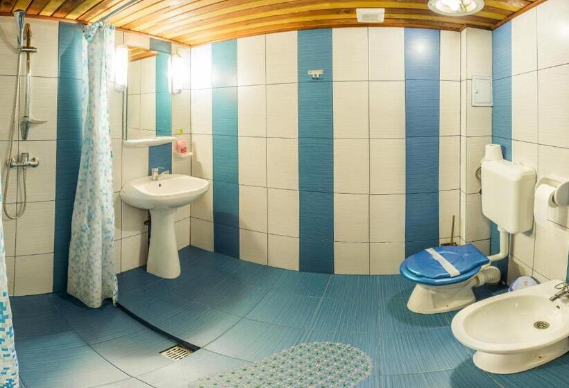 Pensiunea Casa Verde Bucuresti