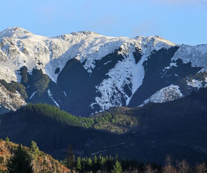 Village Lake Apartments