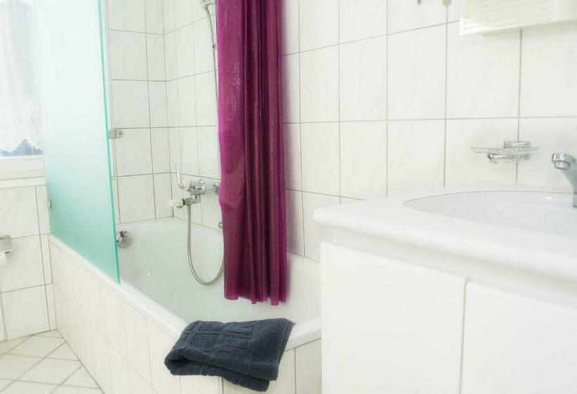 Общежитие Gasthof Zur Saline