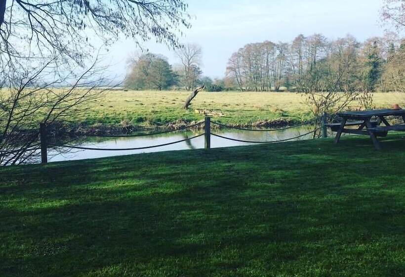 فندق صغير The Lion