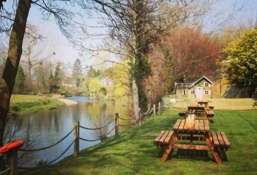 فندق صغير The Lion