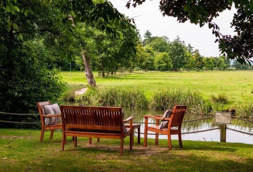 فندق صغير The Lion