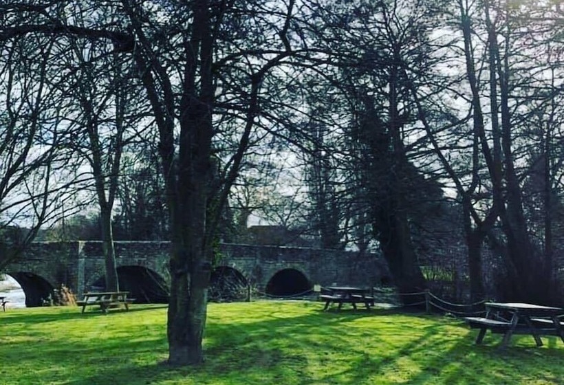 فندق صغير The Lion