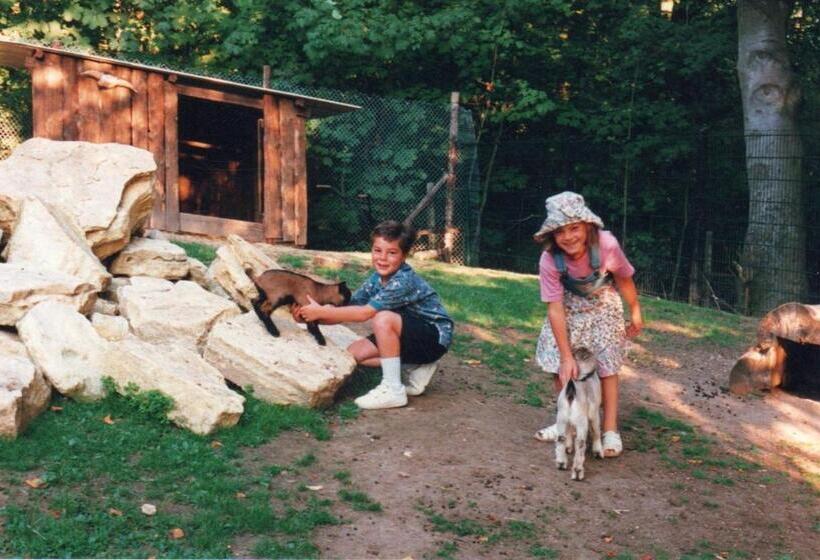 Pension Forstgut Waldeck