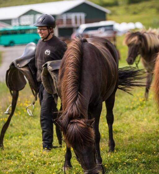 Farmhotel Efstidalur