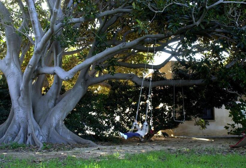 호텔 Azienda Agrituristica Tenuta Pizzolungo