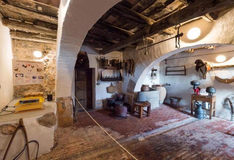 호텔 Azienda Agrituristica Tenuta Pizzolungo