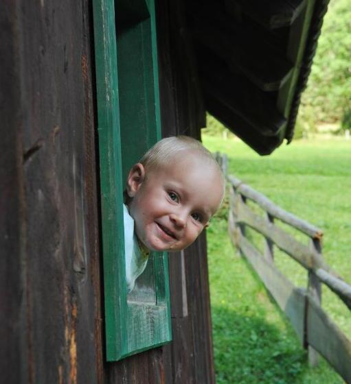 호텔 Hocheggerhof   Urlaub Am Bauernhof