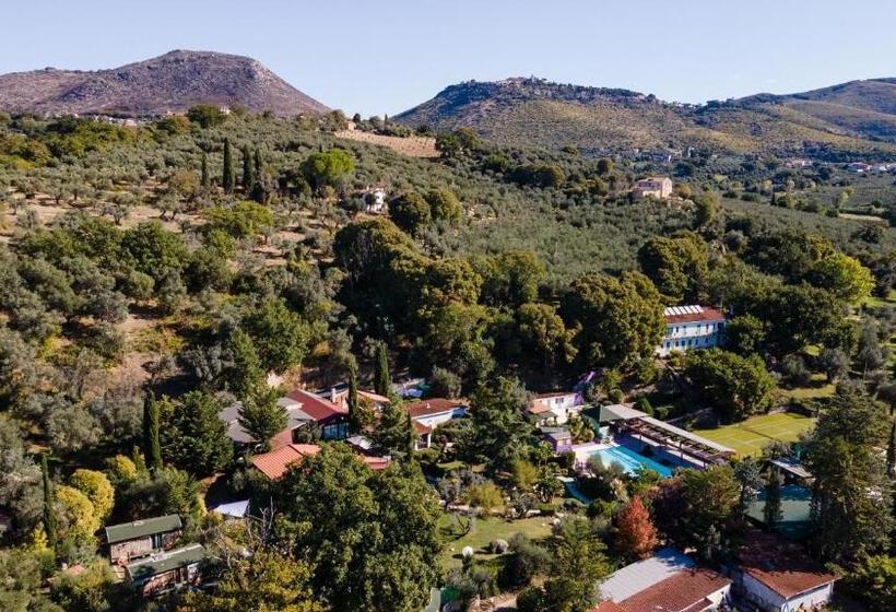 فندق Ille Roif Resort&spa