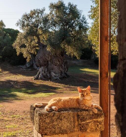 בית מלון כפרי Masseria Brigantino