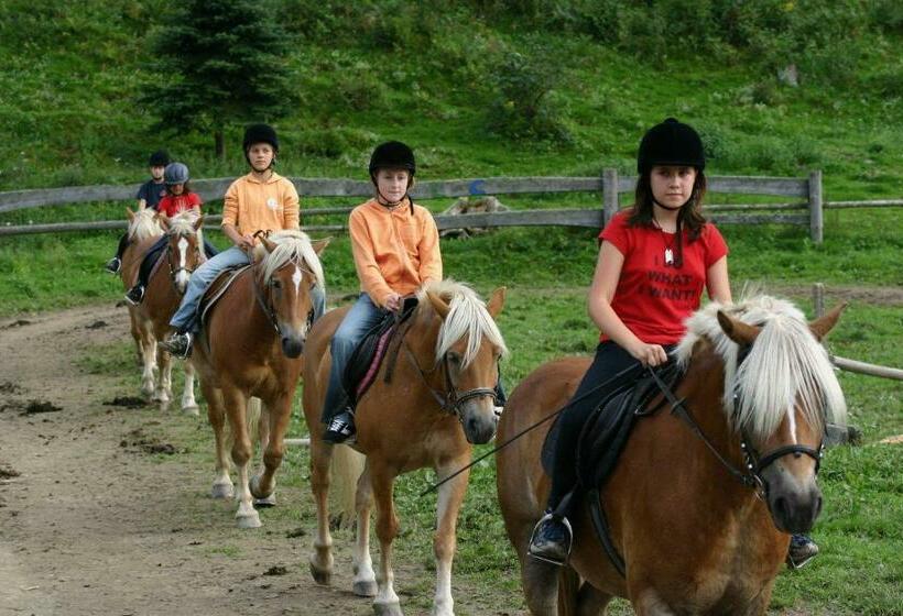 בית מלון כפרי Pension Zechnerhof