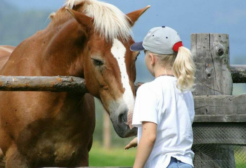 בית מלון כפרי Pension Zechnerhof