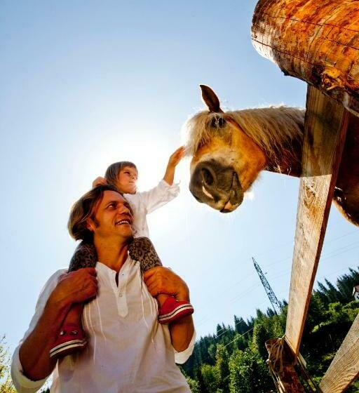 בית מלון כפרי Pension Zechnerhof