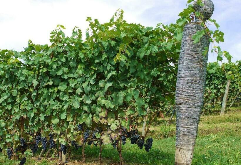 בית מלון כפרי Residenza La Beccata