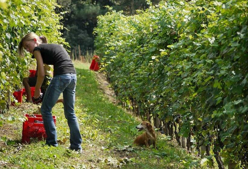 בית מלון כפרי Residenza La Beccata